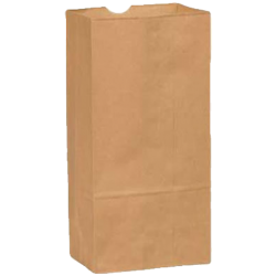 06 lb Brown Paper Bags